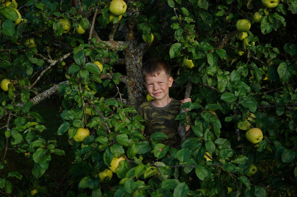 Photograph by Елена Копейкина