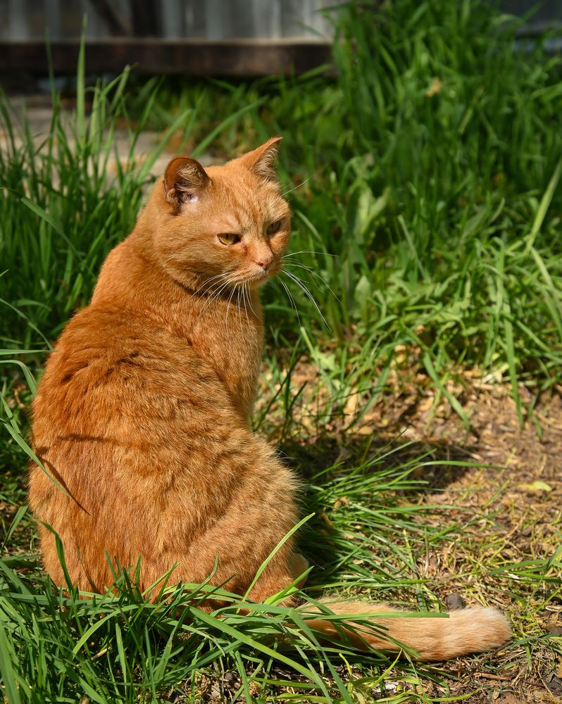 Photograph by Виктория