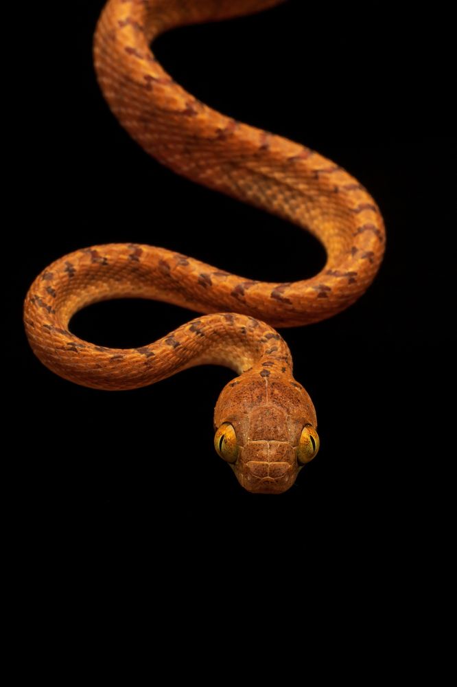 Photograph by Vivek Sundaram