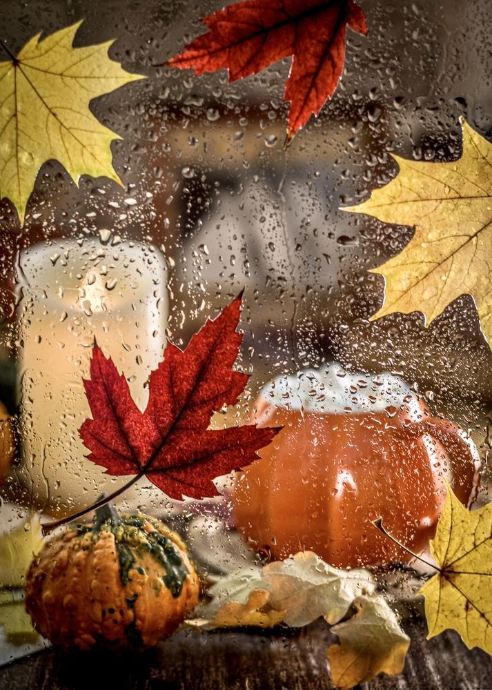 Photograph by Ольга Семина