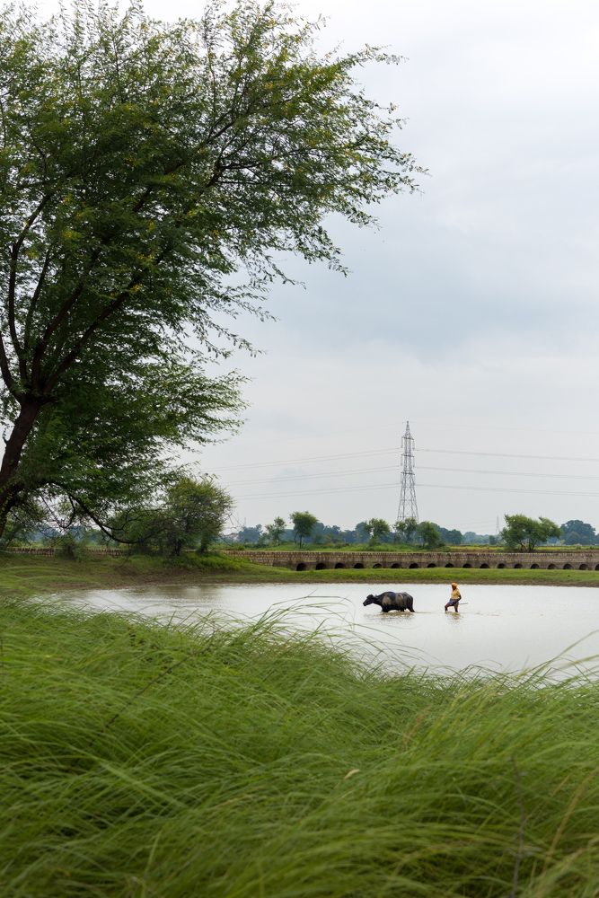 Photograph by Abhishek Rai