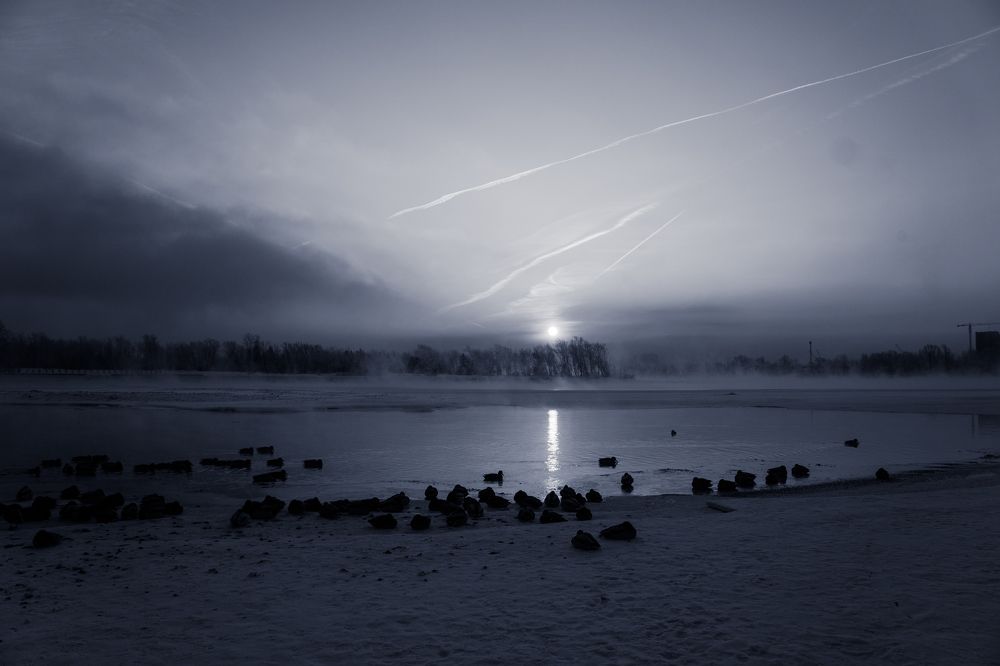 Photograph by Александр Пургин