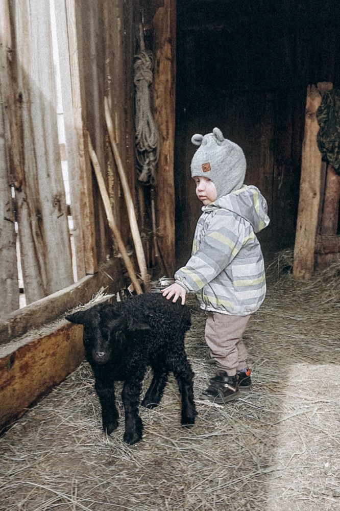 Photograph by Ольга