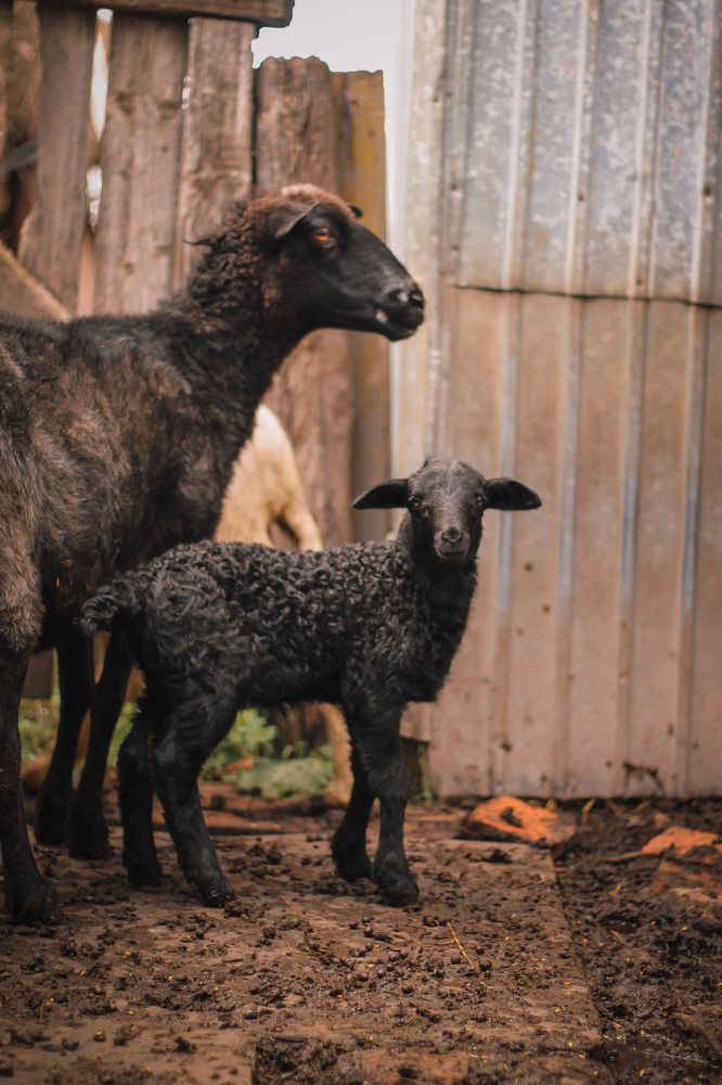 Photograph by Ольга