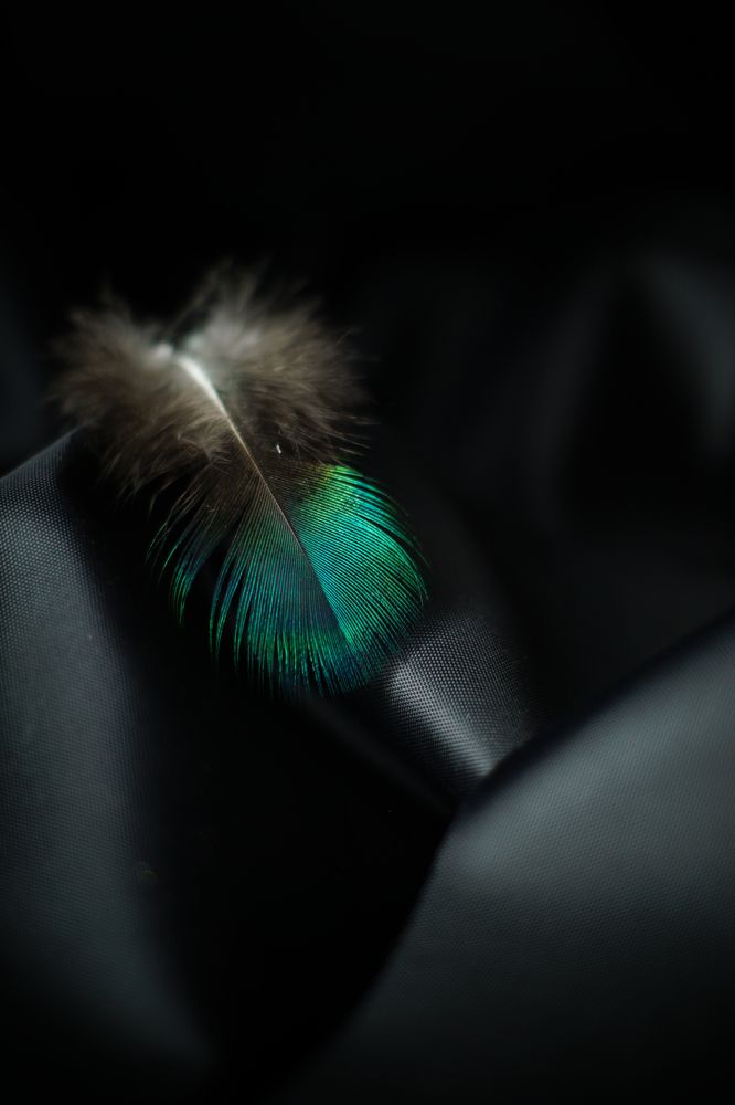 Photograph by Гюзель Даугуль