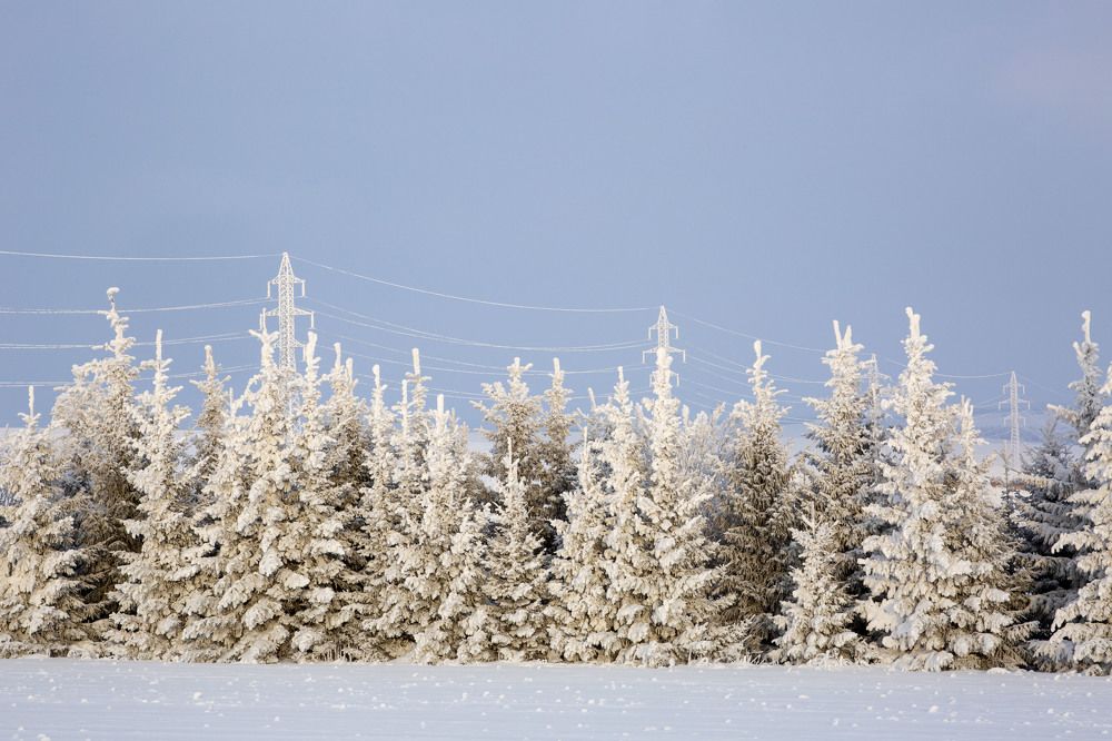 Photograph by Игорь Сапронов