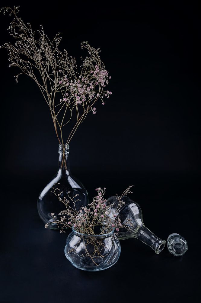 Фотография автора Альбина Кадочникова