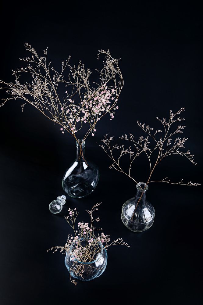 Фотография автора Альбина Кадочникова