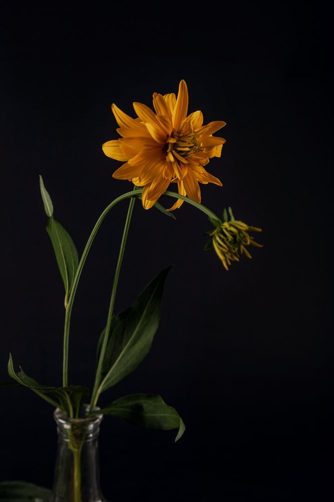 Фотография автора Альбина Кадочникова