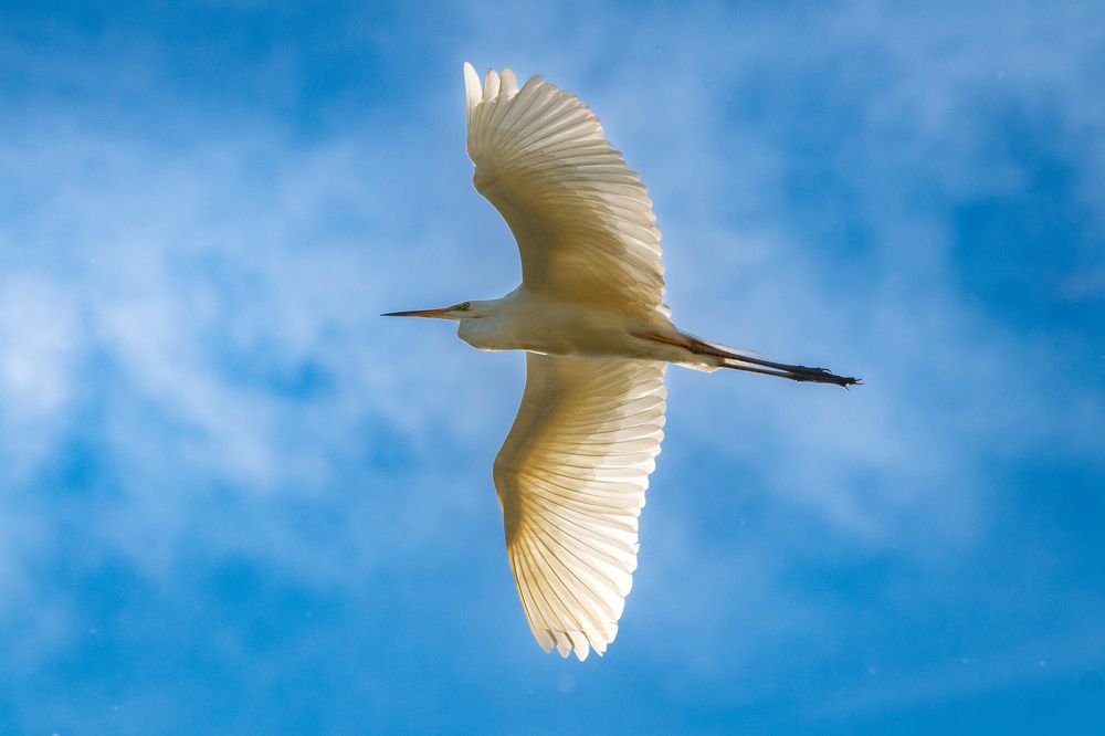 Photograph by Дмитрий Тимин