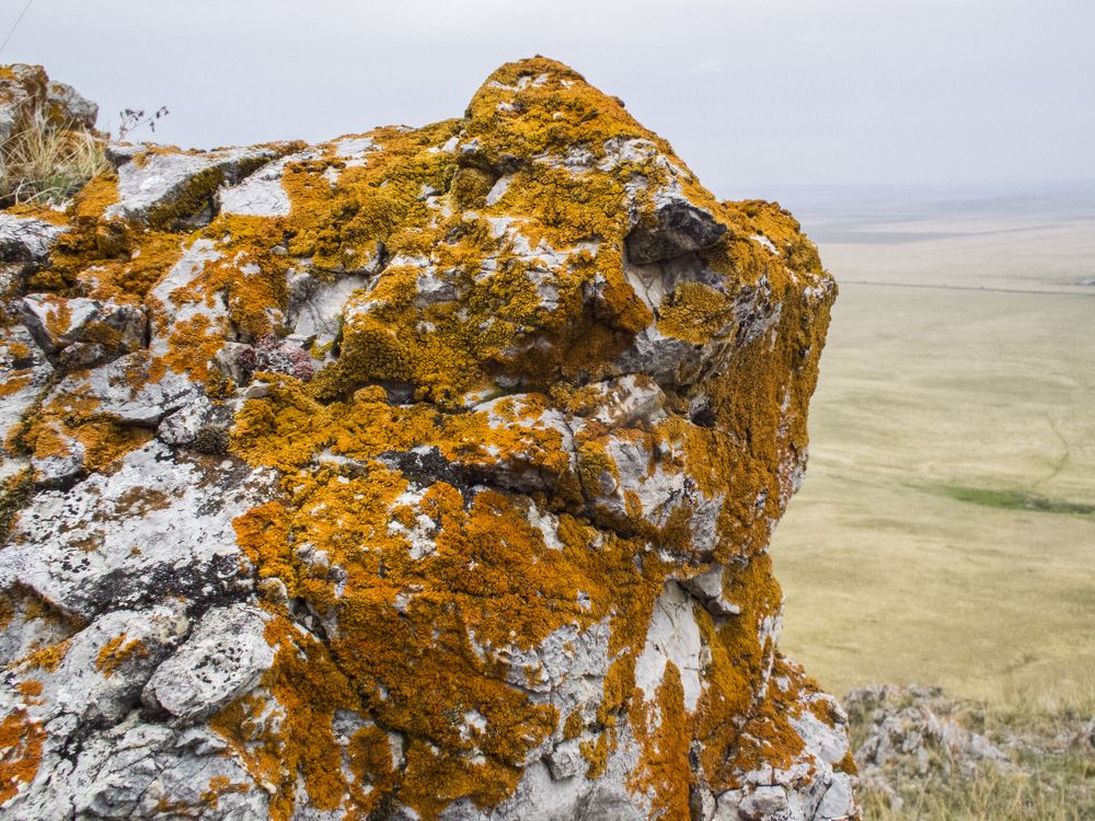 Photograph by Анна Ермилова