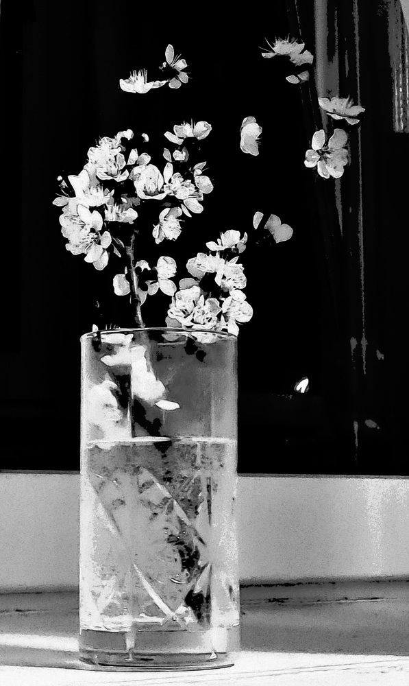 Цветы-мотыльки