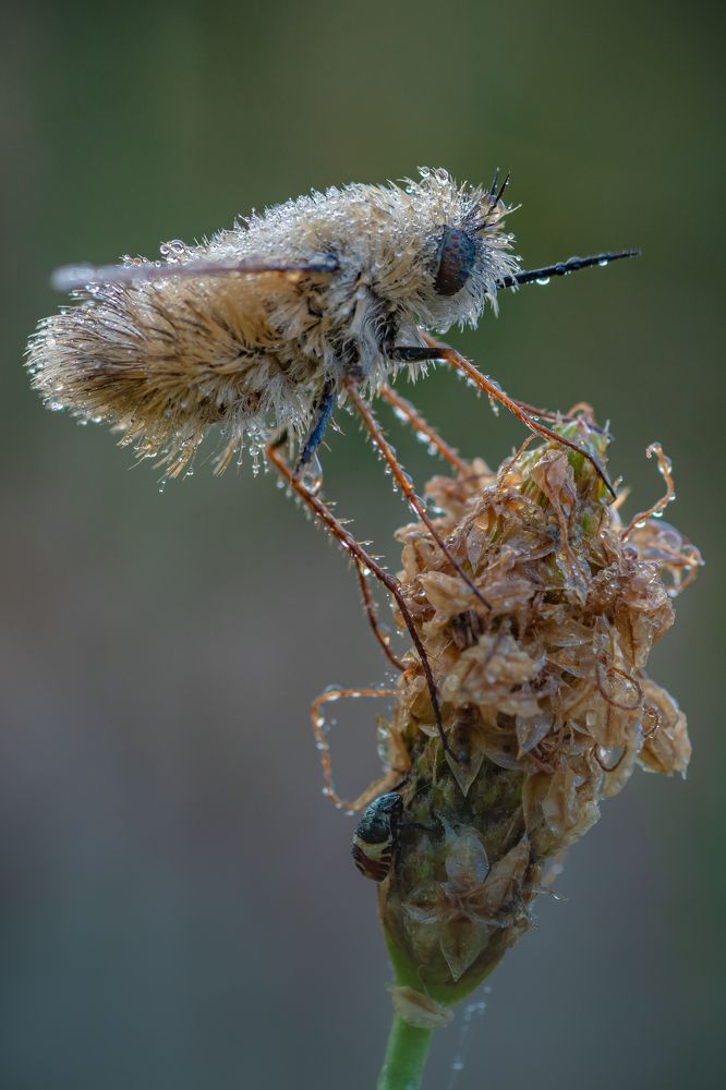 Фотография автора Роман Зайцев