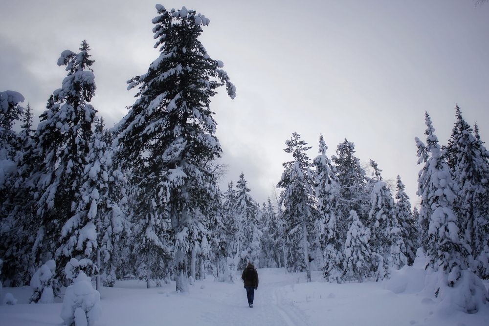 Photograph by Анастасия Астафьева