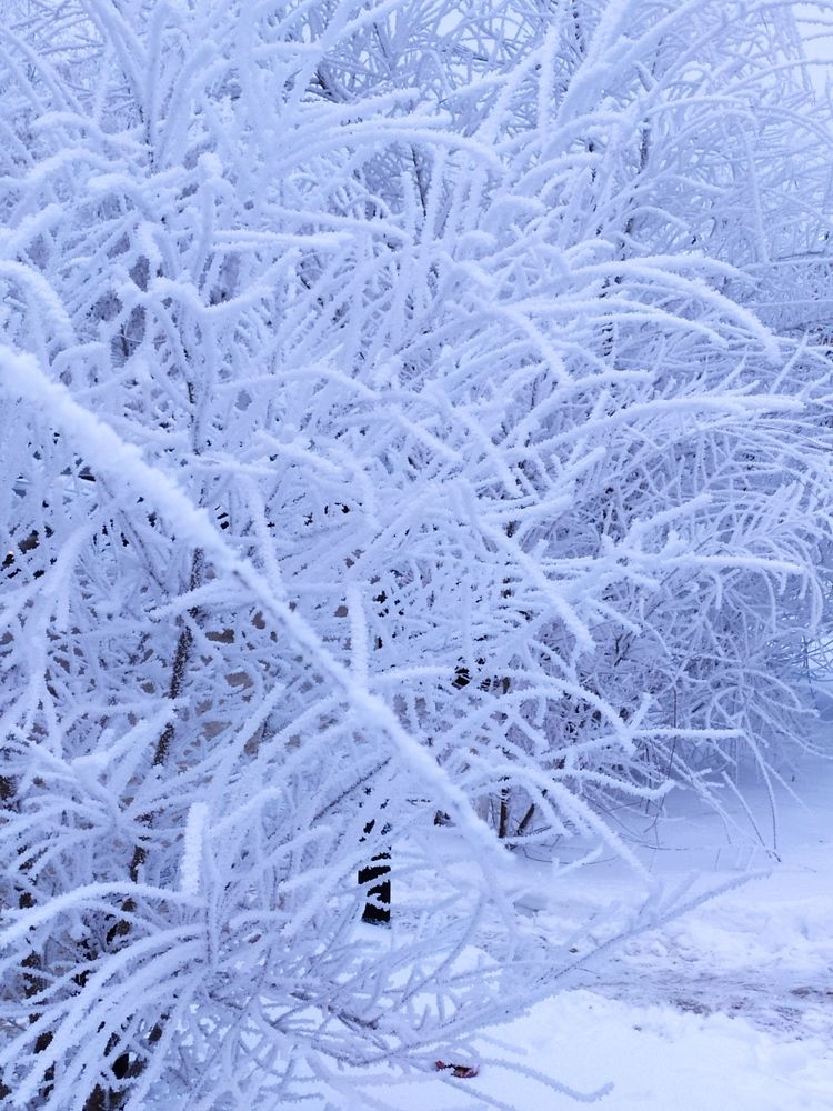 Photograph by Татьяна Клемба