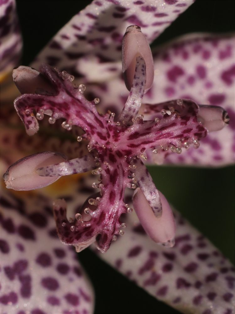 Photograph by Светлана Богомолова