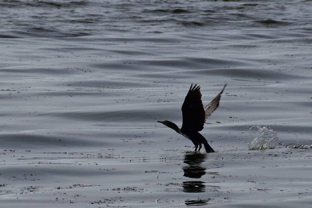 Photograph by Сергей Пупков