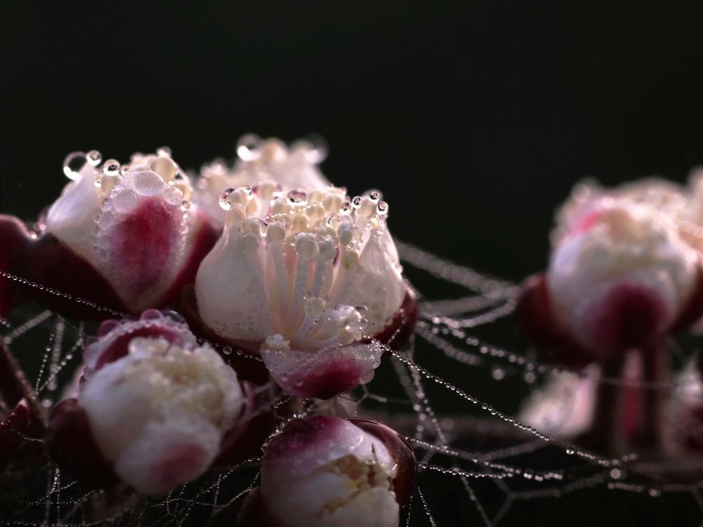 Photograph by Светлана Богомолова