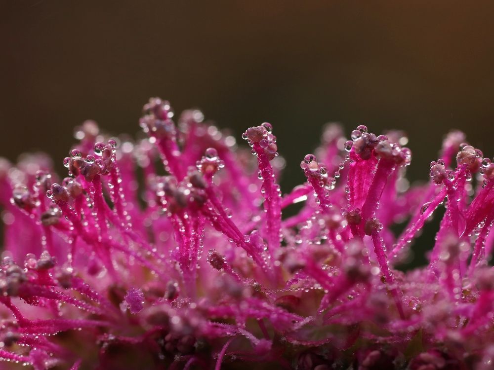 Photograph by Светлана Богомолова