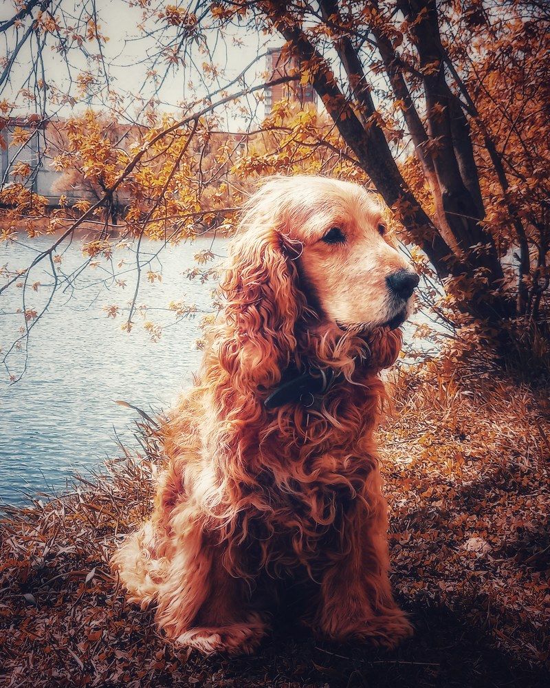 Photograph by Ольга Ревина