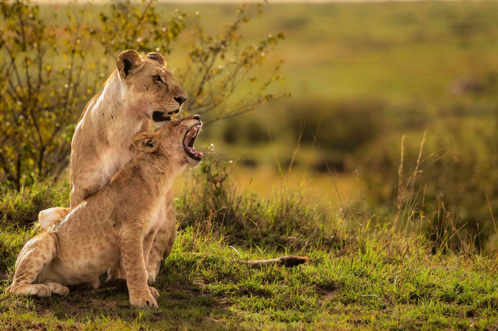 Photograph by Zubair Irshad