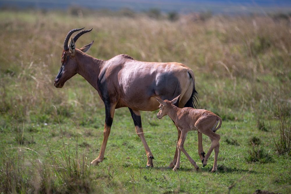 Photograph by Zubair Irshad
