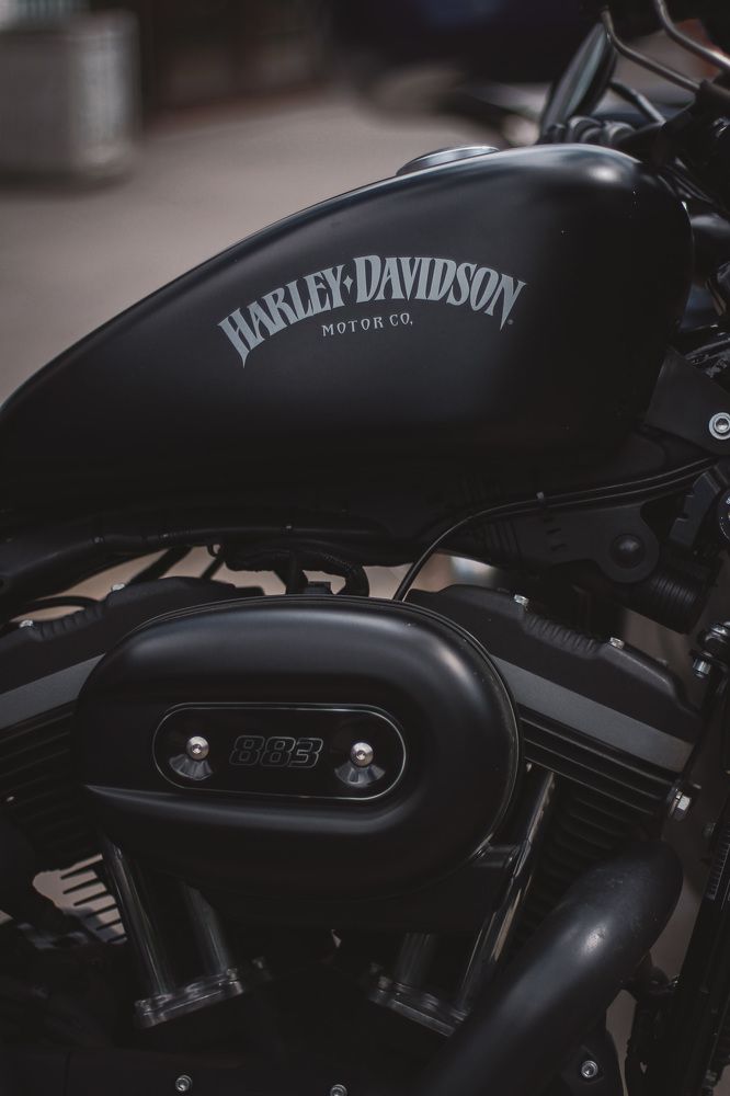 Photograph by Анастасия Астафьева