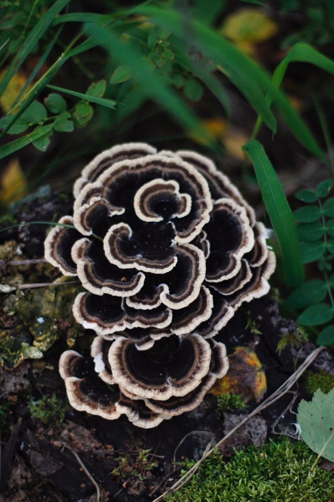 Photograph by Анастасия Астафьева