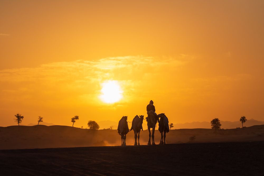 Photograph by Zubair Irshad