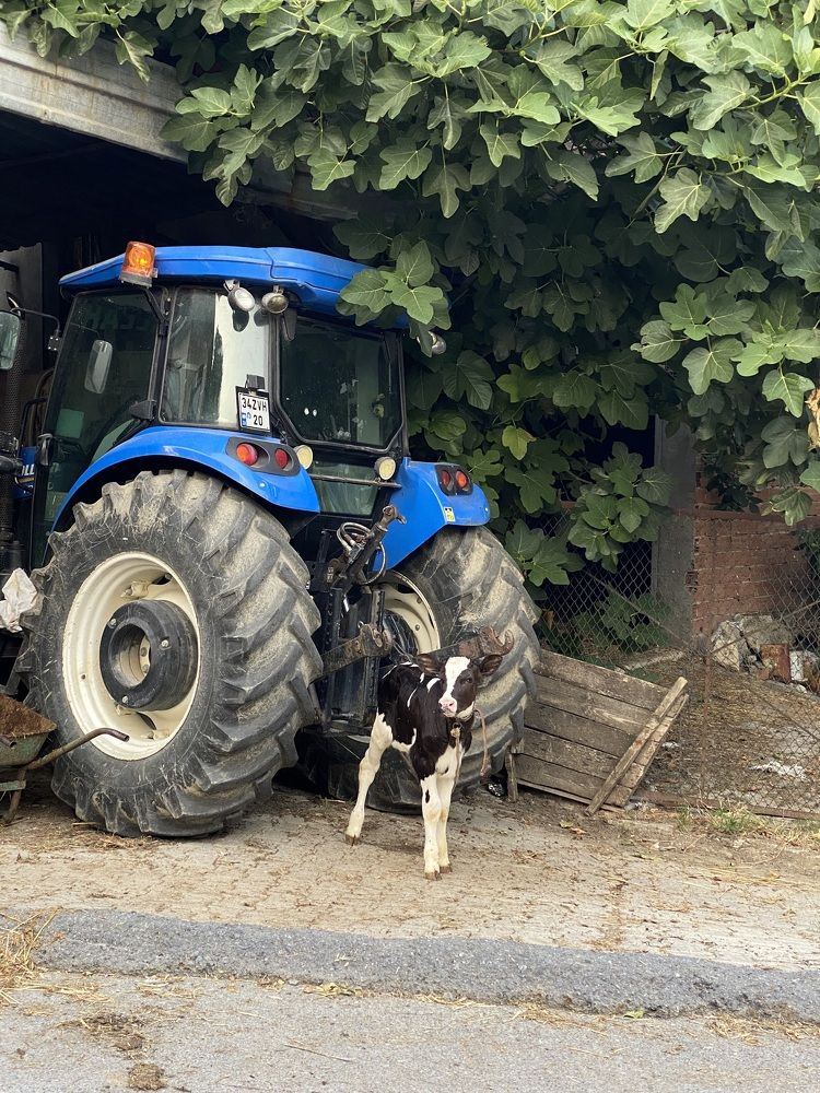 Фотография автора Александр Заикин
