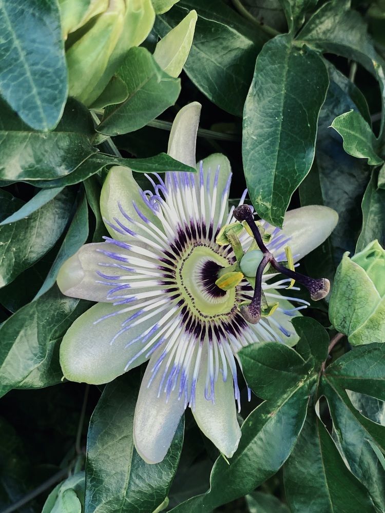 Фотография автора Александр Заикин