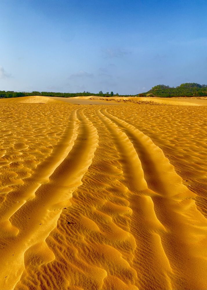 Фотография автора ГУЗАЛИЯ ГАНИЕВА