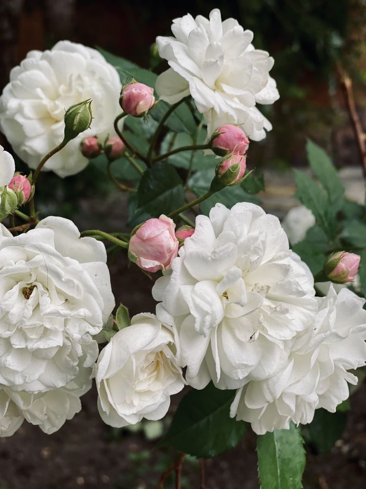 Фотография автора Александр Заикин