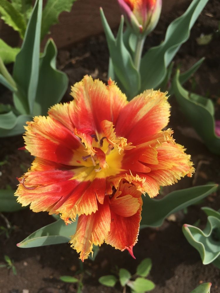 Photograph by Наталья Душакова