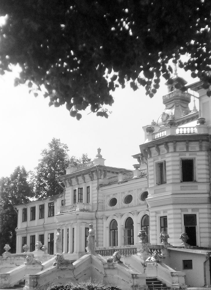 Photograph by Наталия