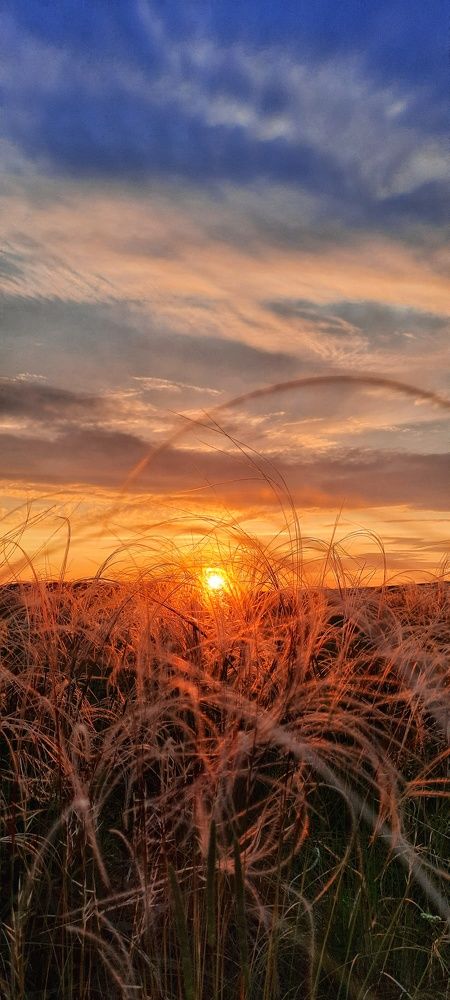 Photograph by Анна