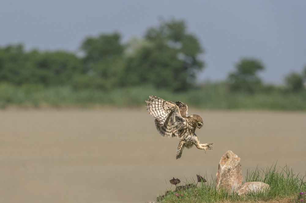 Photograph by Alberto Varasi