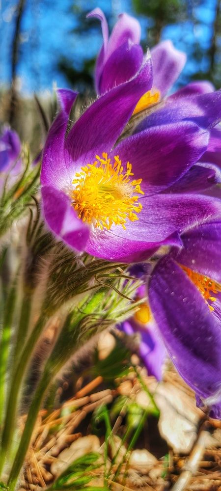 Photograph by Анна