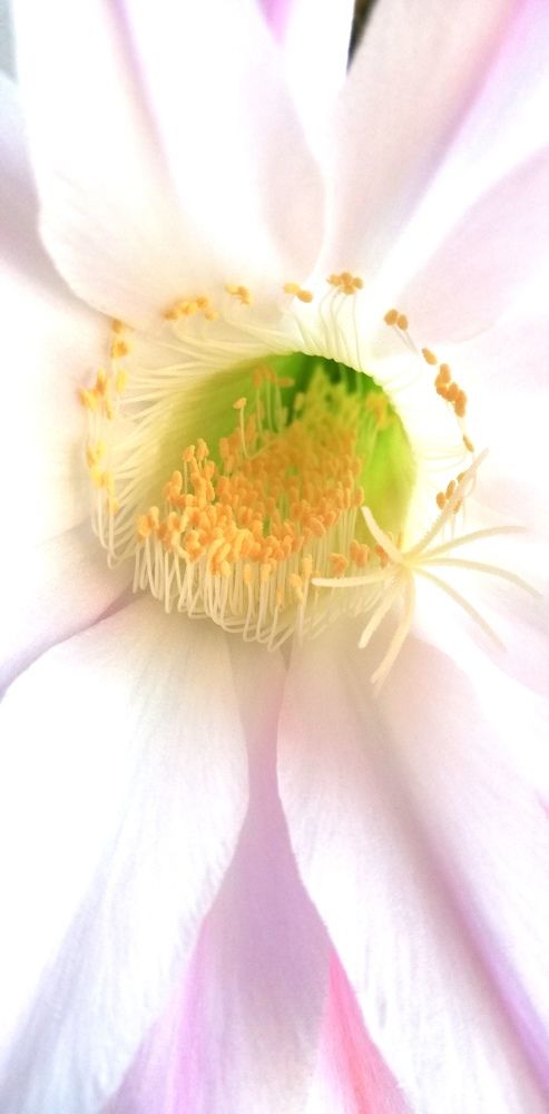 Photograph by Лариса Неудачина