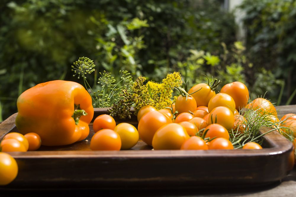 Photograph by Татьяна Шахматова