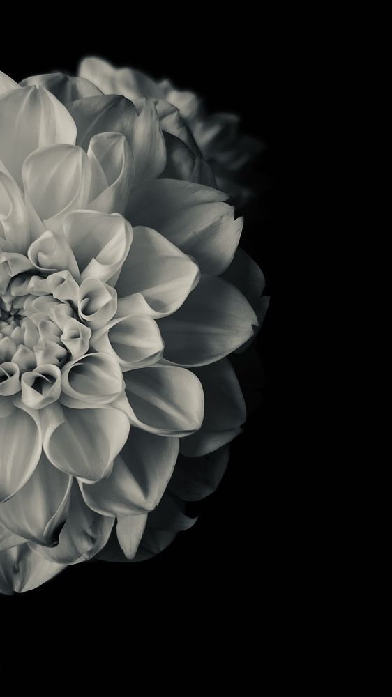 Photograph by Алена Жирова