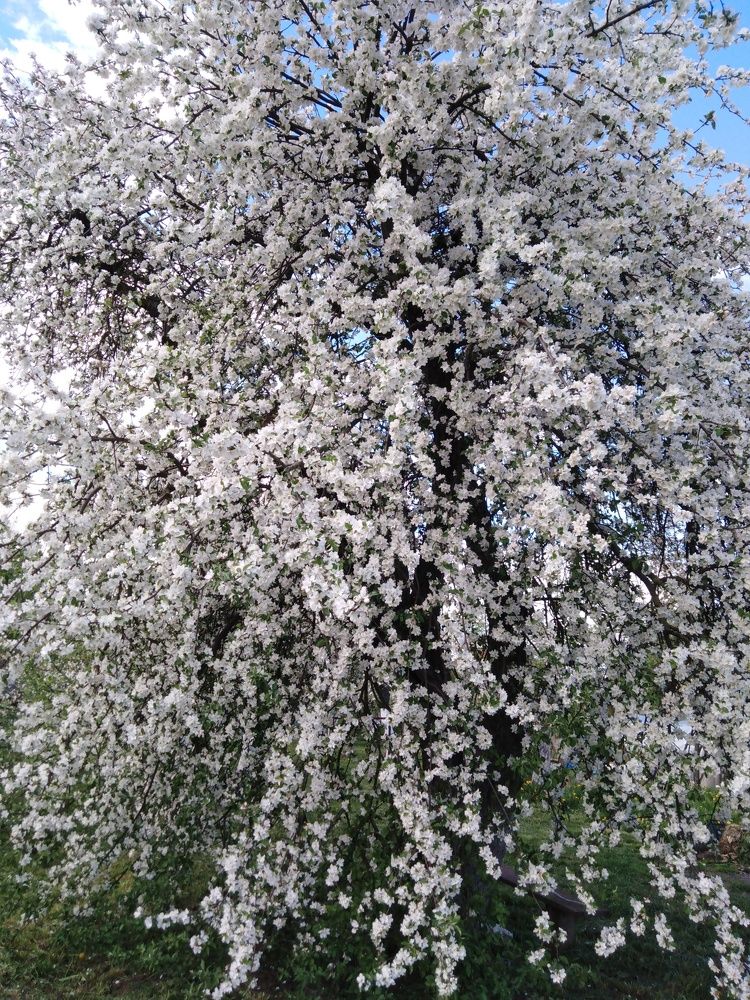 Photograph by Янина Милош