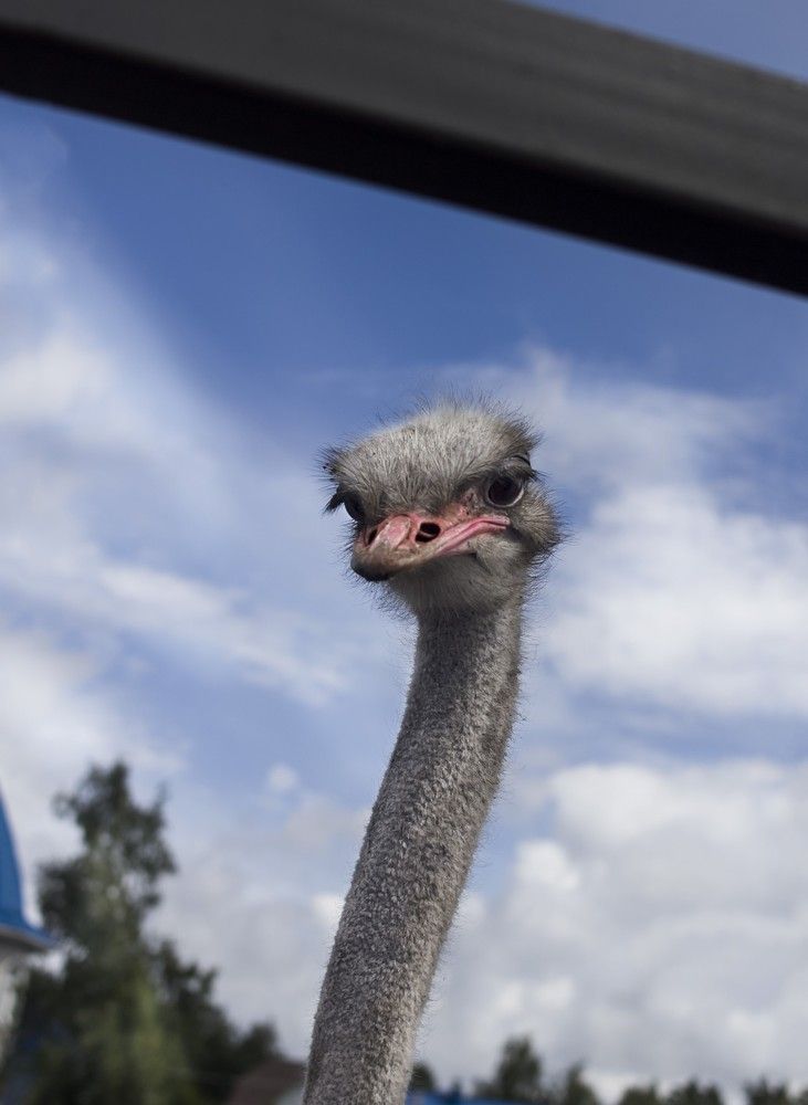 Photograph by Татьяна Шахматова