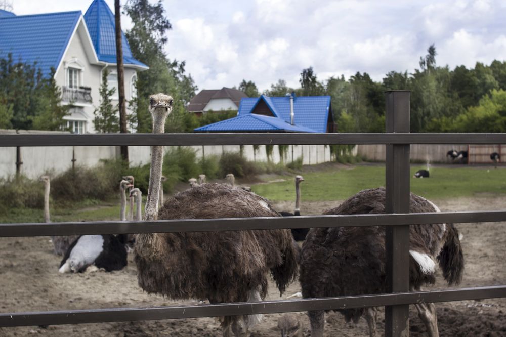 Photograph by Татьяна Шахматова