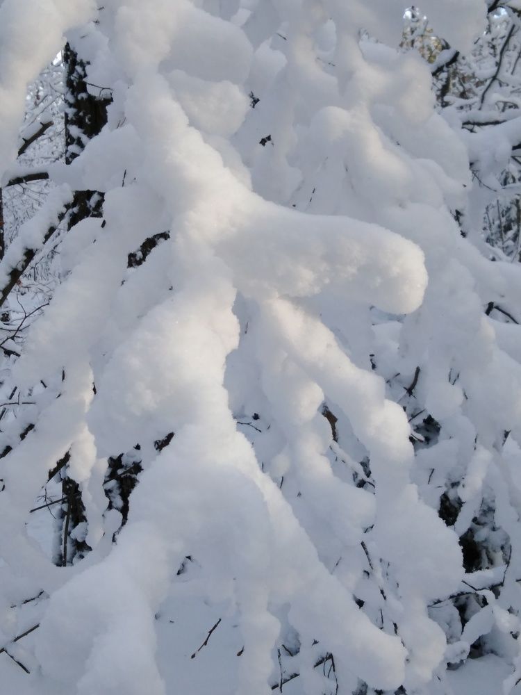 Photograph by Янина Милош