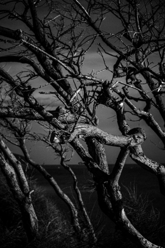 Photograph by Христина Сергейчик