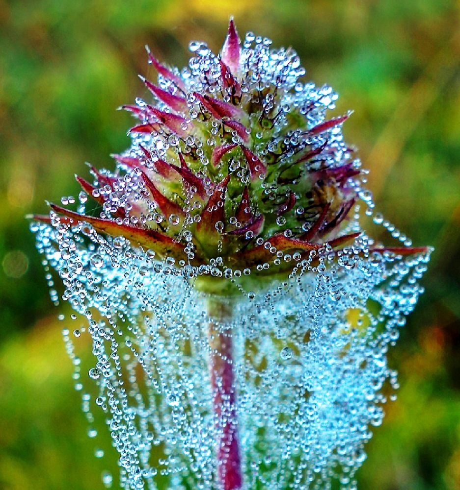 Photograph by IRINA KORNEVA