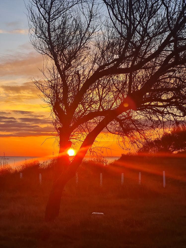 Photograph by Любовь Ершова