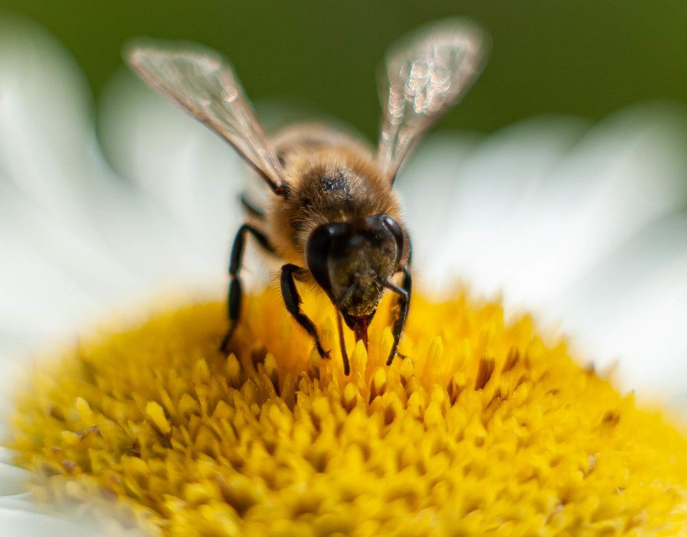 Photograph by Вадим Басов