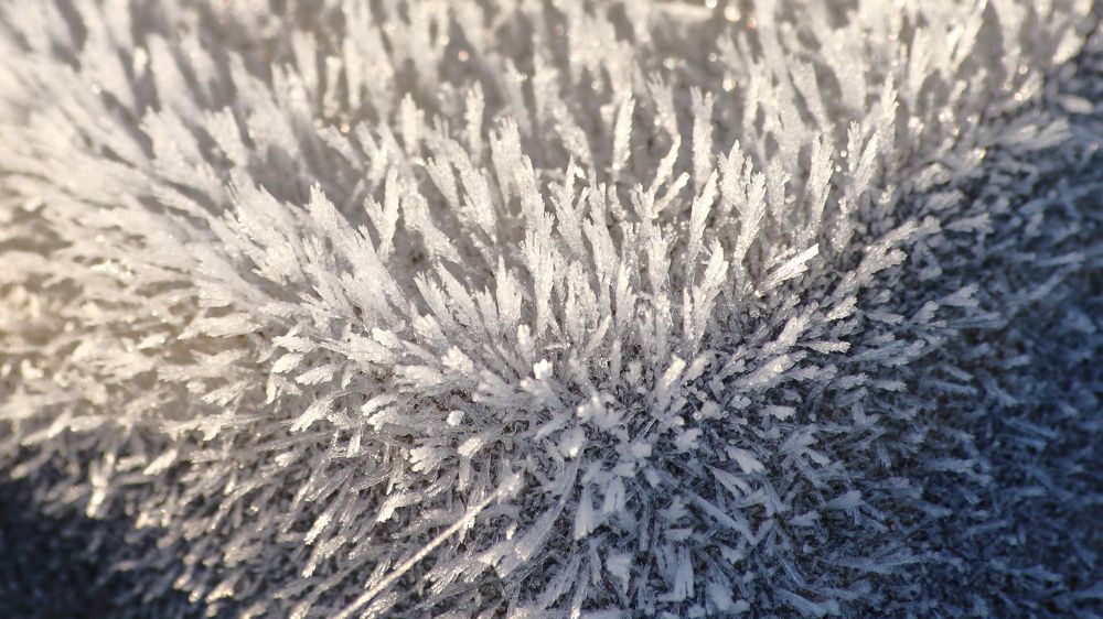 Фотография автора Михаил Кротков